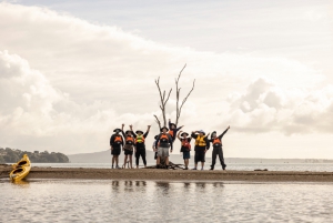 Soziale Naturbewegung - Teambuilding