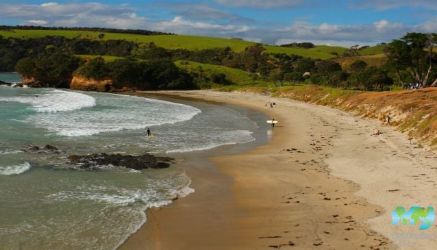 Best Beaches in Auckland
