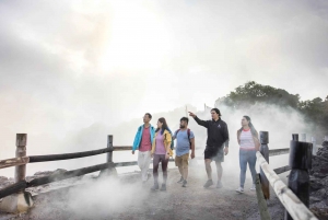 TE PUIA Geotermiske park Rotorua - Gruppedagstur fra Auckland