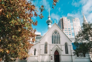 The Best of Auckland Walking Tour