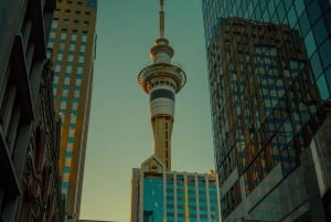 Excursão a pé pelo melhor de Auckland