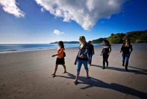 Waiheke Island: Bussbiljetter till färja och hop-on-hop-off Explorer