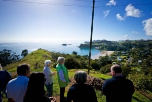 Waiheke岛: Ferry & Hop-On Hop-Off Explorer Bus Tickets