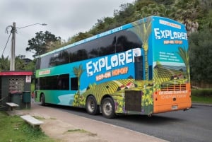 怀赫克岛:渡轮 & Hop-On Hop-Off Explorer Bus Tickets