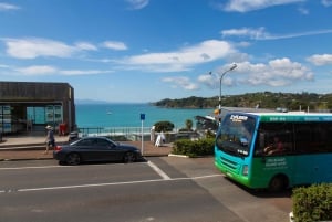 Waiheke岛: Ferry & Hop-On Hop-Off Explorer Bus Tickets