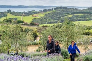Waiheke Island: Full Day Guided History and Heritage Tour