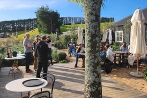 Waiheke Island: Scenic Wine Tour with Lunch