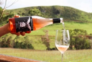 Ilha Waiheke: Visita panorâmica ao vinho com almoço