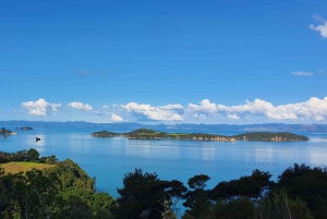 Isla de Waiheke Excursión panorámica enológica con almuerzo