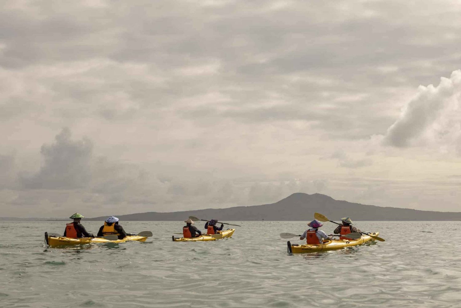 奥克兰:怀赫克岛海上皮艇之旅