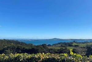 Waiheke岛: The Essence of Waiheke Wine Tour