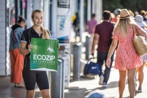 Isla de Waiheke Excursión de Aventura en Tirolina y Bosque Nativo