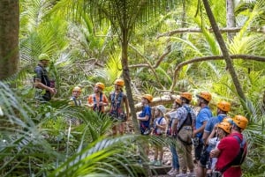 怀赫克岛:滑索和原始森林探险之旅