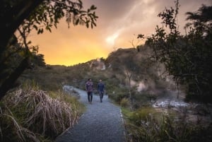 VALLE VOLCÁNICO DE WAIMANGU Excursión en grupo a Rotorua desde Auckland