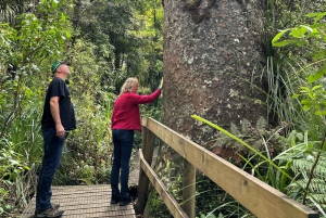 Foresta WAIPOUA KAURI, Tane Mahuta e Museo Tour Ex Auckland