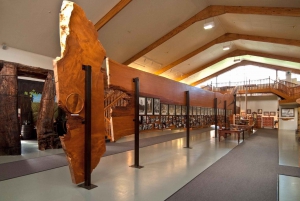 WAIPOUA KAURI FOREST, Tane Mahuta og museumstur fra Auckland