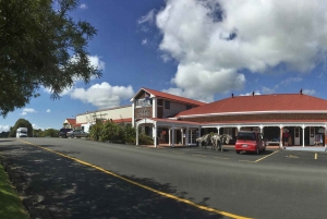 WAIPOUA KAURI FOREST, Tane Mahuta & Museum Tour Ex Auckland