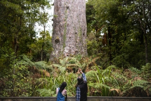 WAIPOUA KAURI FOREST, Tane Mahuta og museumstur fra Auckland