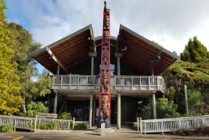 Excursión a la Reserva Natural de la Cordillera Waitakere desde Auckland