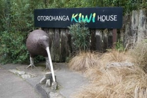 From Auckland: Waitomo Caves and Kiwi House Small Group Tour