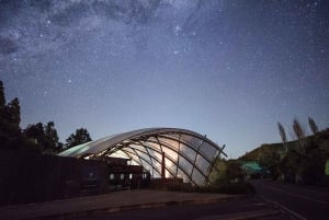 WAITOMO GLOWWORM & RUAKURI CAVES-PRIVATE TOUR FROM AUCKLAND