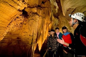 RUAKURI CAVE & HAMILTON GARDENS-PRIVATE TOUR FROM AUCKLAND