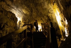 RUAKURI CAVE & HAMILTON GARDENS-PRIVATE TOUR FROM AUCKLAND