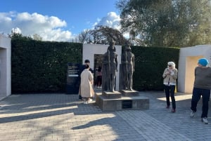 CUEVAS DE LA LUCIÉRNAGA DE WAITOMO Y JARDINES DE HAMILTON - TOUR PRIVADO