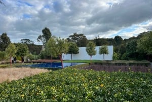 CUEVAS DE LA LUCIÉRNAGA DE WAITOMO Y JARDINES DE HAMILTON - TOUR PRIVADO