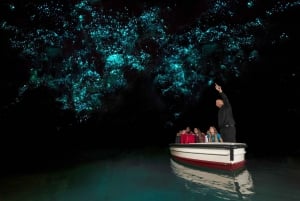 WAITOMO GLOWWORM CAVES & HAMILTON GARDENS - PRYWATNA WYCIECZKA