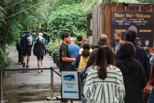 CUEVAS DE LA LUCIÉRNAGA DE WAITOMO Y JARDINES DE HAMILTON - TOUR PRIVADO