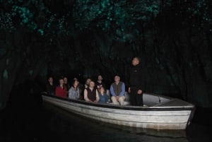 CUEVAS DE LA LUCIÉRNAGA DE WAITOMO Y JARDINES DE HAMILTON - TOUR PRIVADO