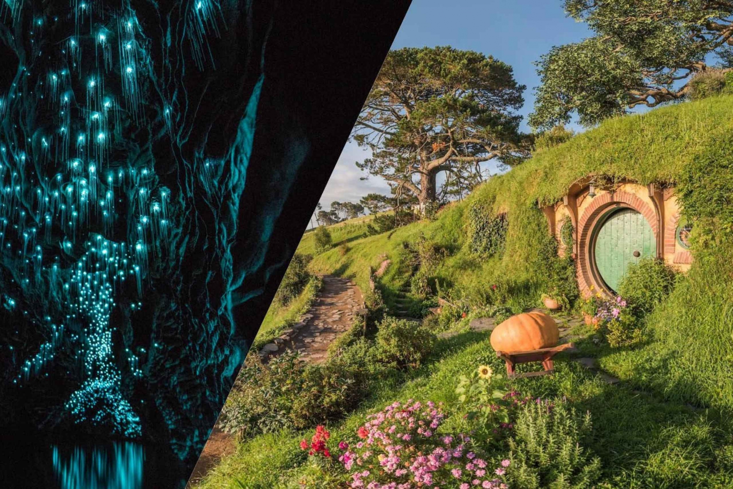 Waitomo: Ruakuri Cave & Hobbiton The Magical Discovery Tour