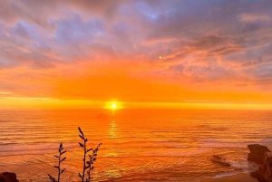 Oeste de Auckland: Pôr do sol com piscina térmica e vista noturna