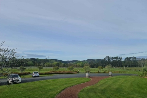 Oeste de Auckland: Pôr do sol com piscina térmica e vista noturna