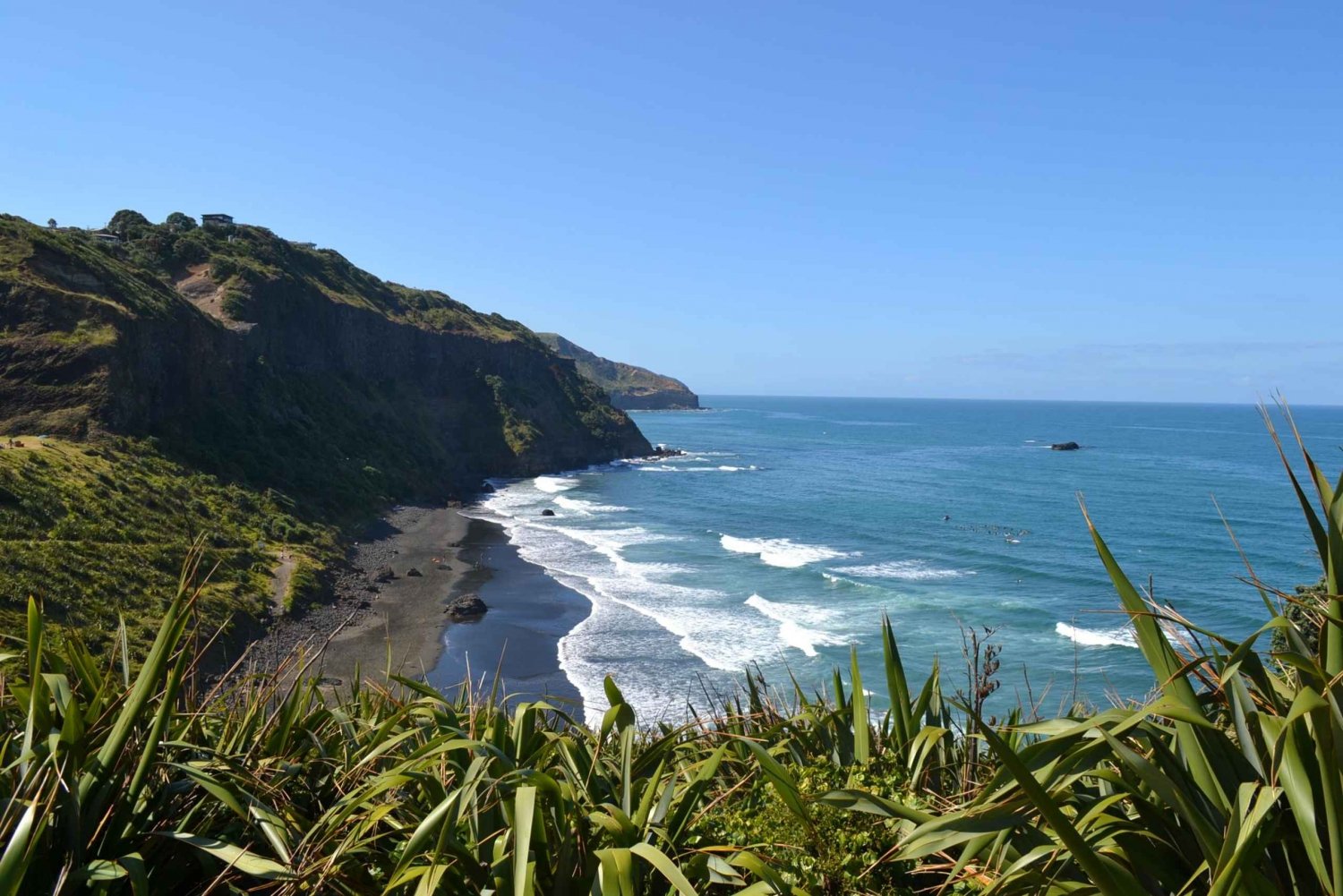 Descoberta da costa oeste Tour particular da praia de Piha