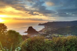 Privat tur på vestkysten til Piha Beach