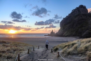 West Coast Discovery Piha Beach privat tur