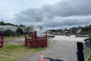 WHAKAREWAREWA - The Living Maori Village - Group Tour Ex AKL