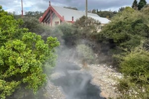 WHAKAREWAREWA - The Living Maori Village - Group Tour Ex AKL