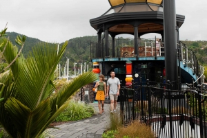 Whangārei: Hundertwasser Kunstcentrum: Toegang voor één dag.