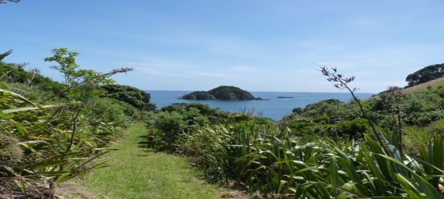 Top 5 Auckland Islands To Visit