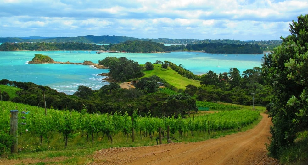 5  Waiheke Island Wineries You Need To Visit