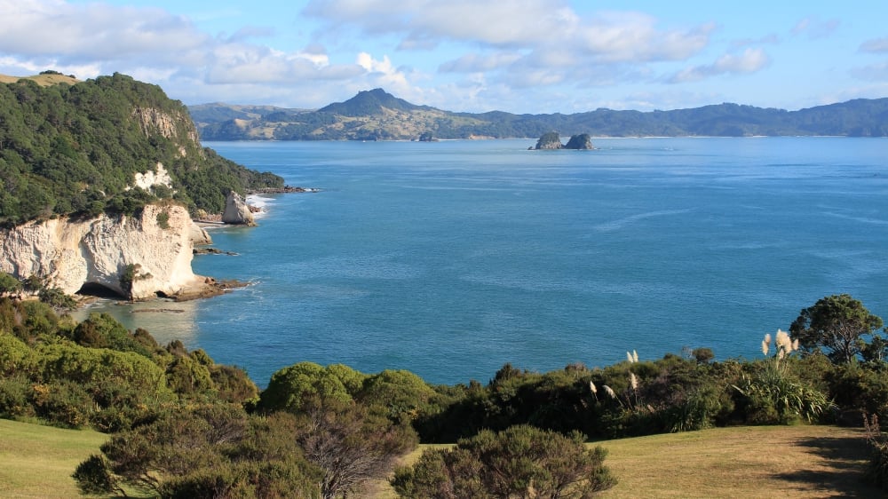 Top 5 Day Tours From Auckland