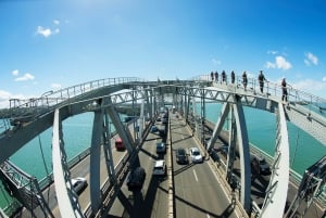 Caminata por el Puente del Puerto de Auckland