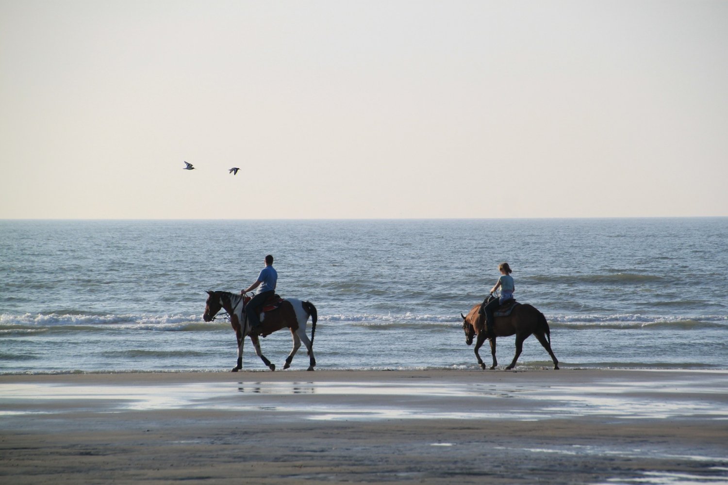 Paseo a caballo