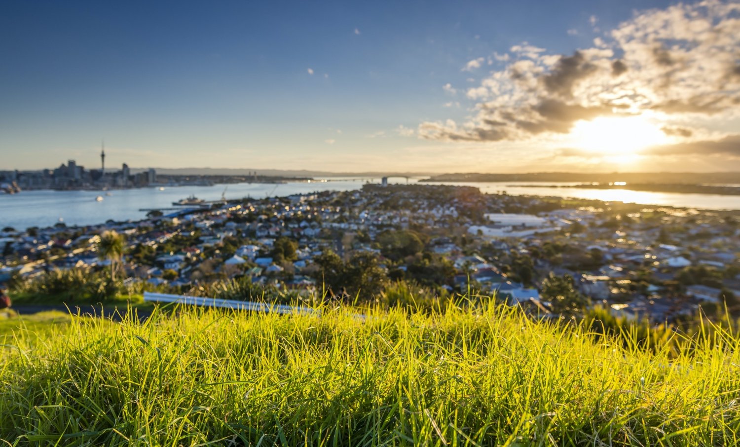 Romantic Kiwi Sunset at Mt. Victoria in Devonport, Auckland