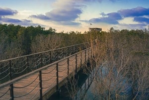 3-dniowa wycieczka kulturalna po ZEA: Abu Dhabi i pustynia z Dubaju