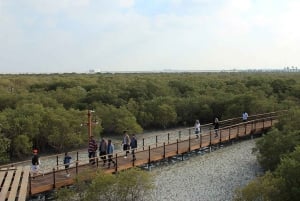 Tour cultural de 3 días por los EAU: Abu Dabi y el desierto desde Dubái
