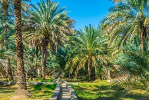 Viaje cultural de 4 días por los EAU: Dubái, Abu Dabi y Al Ain